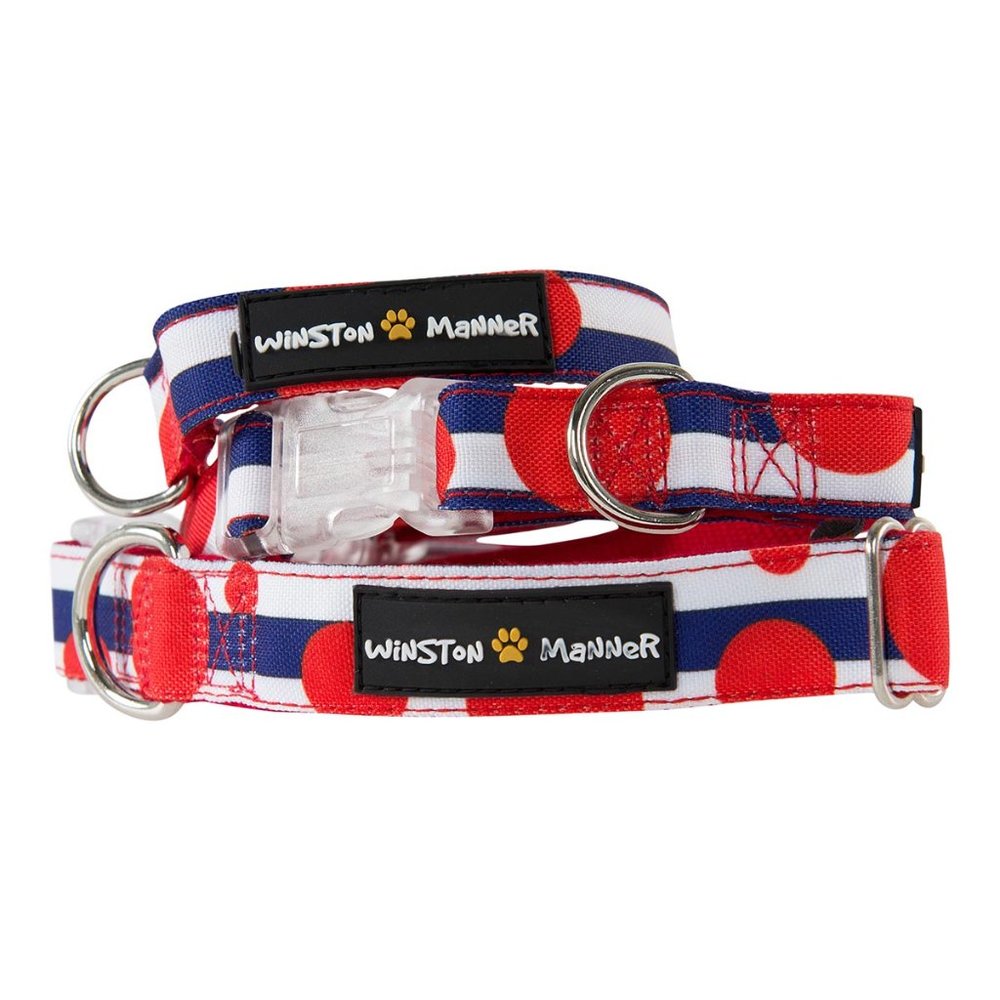 Winston Manner Dog Collar in Bouncy Ball
